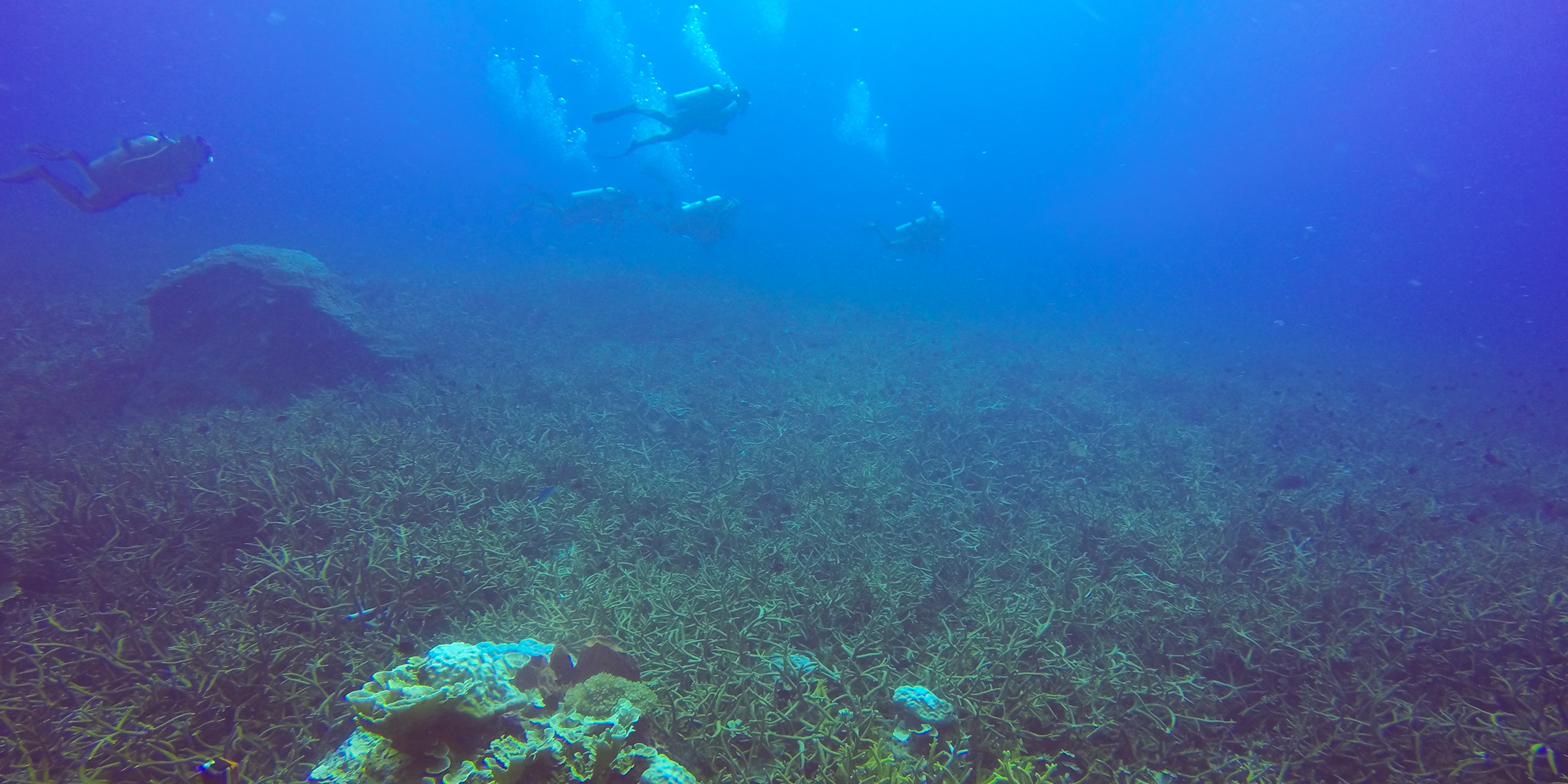 Underwater Lake Titicaca